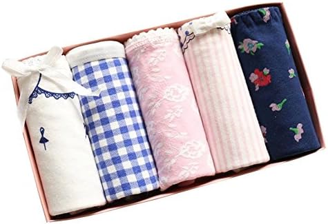 Wxian Girl's Cute Multi-Pattern Briefs Underwear Pack Of 5