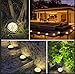 Jack & Rose Solar Ground Lights Outdoor Solar Pathway Lights Fairy Garden Lights Solar Powered IP67 Waterproof 8 LED Disk Light for Yard Deck Lawn Patio Driveway (Warm Light, 4 Pack