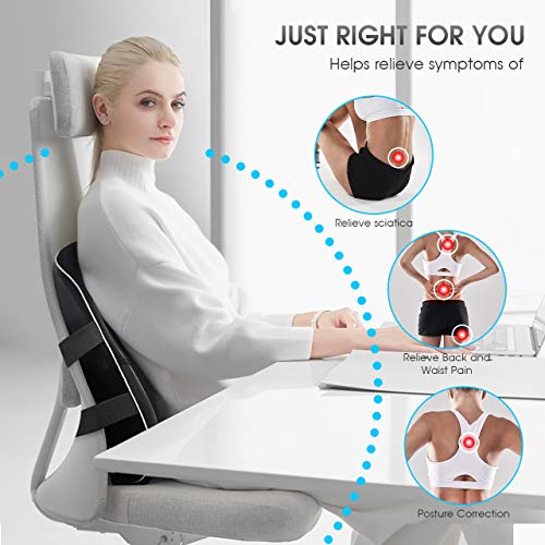 HOKEKI Lumbar Support Pillow, Meets The Ergonomic Memory Foam Lumbar