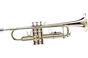 Sai Musical Trumpet Bb Brass Golden With Case Mouthpiece Nicely Tuned Instrument For Beginner Student Professional