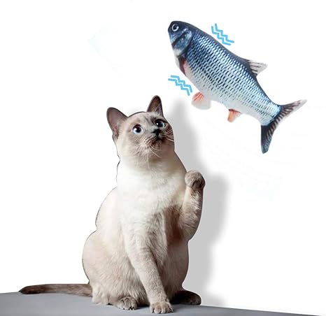 Dioxide Jouet Pour Chat Jouets Poisson Electronique Catnip Cat Jouets Simulation En Peluche Poissons Forme Jouet Chats Interactif Jouet A Macher Rechargeable Usb A Amazon Fr Animalerie