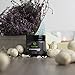 Activated Charcoal Teeth Whitening Powder - All Natural Black Charcol Toothpaste Dental Powder Safe & Gentle for Gums & Sensitive Teeth Brighter Smile Tooth 4 oz