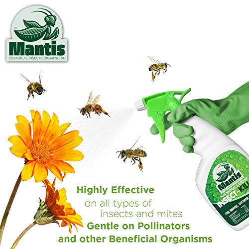 Top 10 Best Insecticides For Plants Best of 2018 Reviews No Place