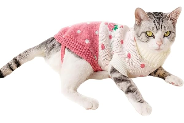 Small Dog & Cat Sweater, Knitted Pullover for Toy Breeds – Chihuahua, Teacup Poodle, Terrier, Yorkie, Puppy & Kitten, Soft Tu
