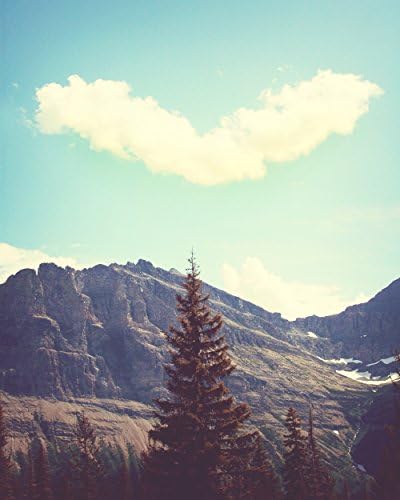 I Heart Nature - Fine Art Photo Print (choose from various sizes)