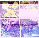 Je ne jardine que le week-end (Facile et bio) by