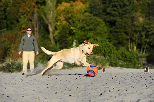 Chuckit! Kick Fetch Ball Dog Toy - Floats in Water - Perfect for Interactive Play - Made with Durable Rubber and Foam - For Large Dogs - Size Large - 8-inch Diameter - Pack of 1