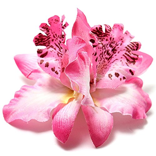 10 Pcs Multicolor Women Girls Orchid Flower Leopard Hair Clip Wedding Party Beach Bridal Hairclip Hair Pins Hair Barrette Accessories
