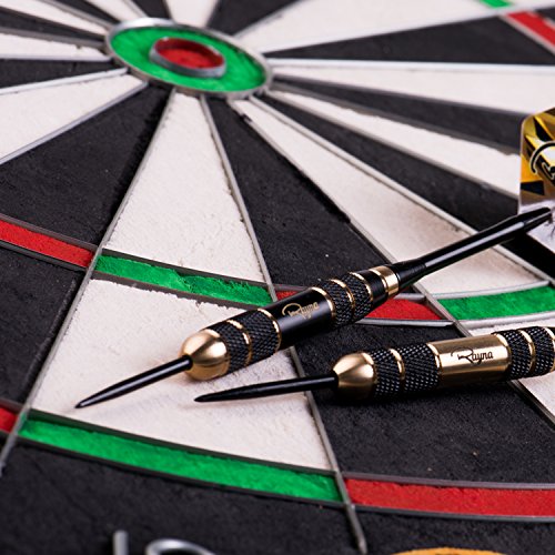 Rayna Games Professional Darts Set - Steel Tip Darts with Aluminum Shafts and Different Style Flights + Dart Sharpener + Premium Dart Case