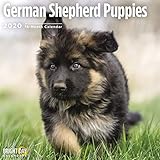 German Shepherd Puppie Cal 2020 by