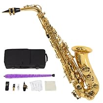Professional Alto Eb Sax Saxophone Gold with Other Accessories New
