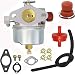 632795A Carburetor for Tecumseh 632098 632747 632681 632388 632050A 631612 631699 631748 631784 631831 631843 631902 632046 632050 NRW 50-650 LAV30 LAV35 LAV40 LAV50 - Tecumseh 632795A Carburetor