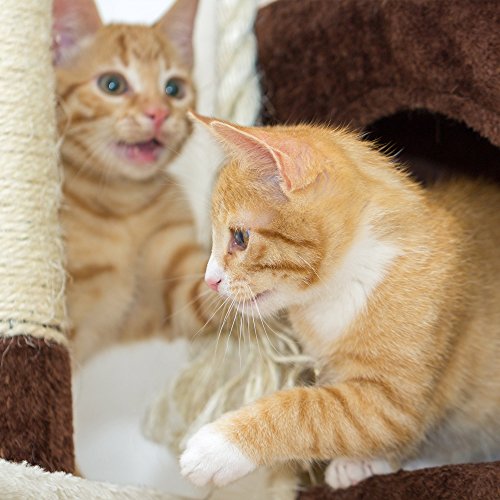 4 Tier Cat Tree- Plush Multi-Level Cat Tower with Sisal Scratching Posts, Perch Platforms, and Penthouse Condo for Cats and Kittens By PETMAKER (43')