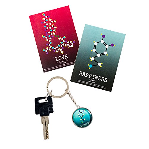 image for MolecularLab.Net Organic Chemistry Molecular Model Kit Student Set - (