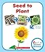 Seed to Plant (Rookie Read-About Science: Life Cycles)
