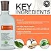 Peter Lamas Ultra Hydrating Shampoo with Baobab Oil | Moisturizes Dry and Damaged Hair to Help Stop Breakage | Restores and Hydrates with Vitamin B, Jojoba Extract | Vegan, Paraben, Sulfate-Free