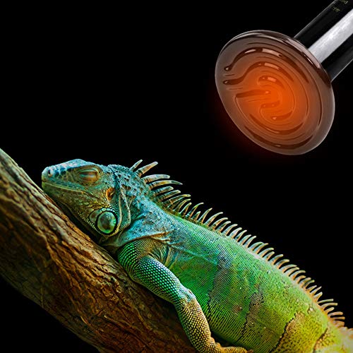 HONG111 100W Ceramic Heat Lamp with 2-pcs Digital Aquarium Thermometer, Infrared Reptile Heat Emitter Heater Bulb for Pet Brooder Coop Chicken Lizard Turtle Snake Aquarium