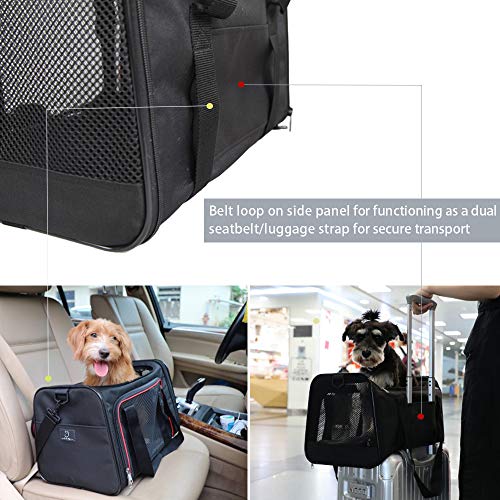 A4Pet Airline Approved Cat Carrier Dog Carriers, Removable SoftSided