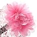 Baby Girl Toddler Cute Lace Wide Headband with Big Flower Stretch Headwear (Pink)