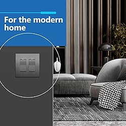 LIDER Brushed Finish Decorator Switch