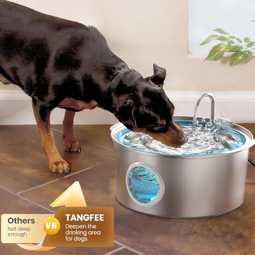 Automatic Dog Water Fountain, Stainless Steel Drinking Dispenser for Large Dogs Cats, 7L/236oz/1.8G