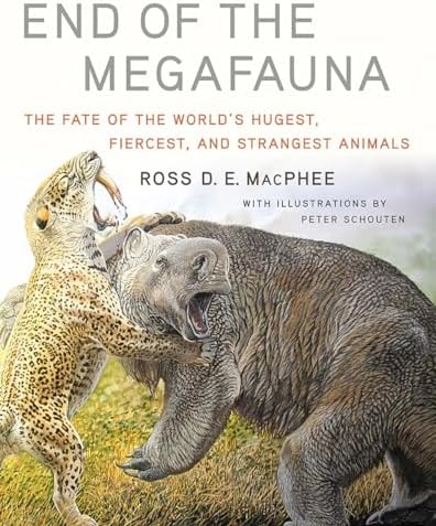 Koala: A Natural History and an Uncertain Future: Clode, Danielle