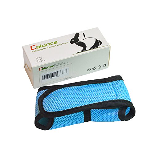 2 Calunce+Rabbits+Harness+Elastic+Leash