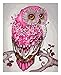 DoMyArt Paint by Number Kits for Adults, DIY Oil Painting for Children - Pink Lucky Owl 16X20 Inch