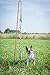 Tether Tug TETH004 Dog Fun Toy, Multi-Colour