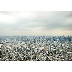 Tokyo Bird Eye View - Removable Wall Mural | Self-Adhesive Large Wallpaper - 66x96 inches