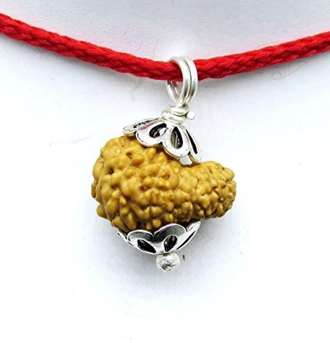 14 Mukhi Rudraksha / Fourteen Face Rudraksh Silver Pendant - Java Bead - 15 mm