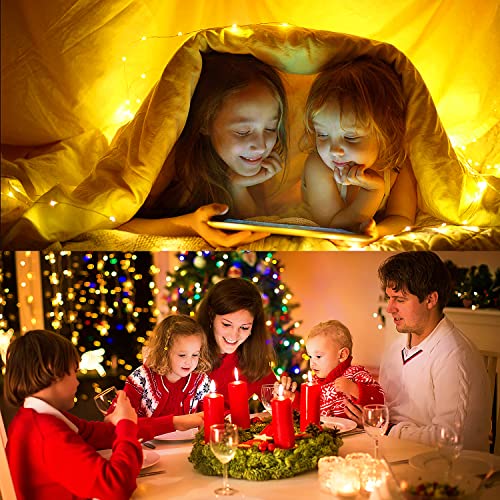 2 Pack USB Fairy Lights Plug in with Remote - 66 Feet 200 LEDs 8 Lighting Modes String Lights, Mini Twinkle Lights for Christmas Bedroom Indoor Party Wedding Decoration (Warm White)