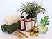 Sensitive Skin Toner Cucumber & Chamomile - Alcohol/Oil Free, All Skin Types Including Sensitive Skin - Vegan Chemical Toxic Free