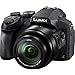 Panasonic Lumix DMC-FZ300 4K Wi-Fi Digital Camera with 64GB Card + Battery + Case + Tripod + 3 Filters + Kit