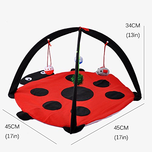 MyfatBOSS Cat Play Mat, Cat Activity Center with Hang Cat Toys Balls Mice, Foldable Cat