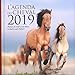 L'agenda du cheval 2019 (LES MILLESIMES) (French Edition) by 
