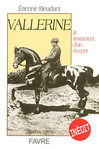 Vallerine : Le testament d'un écuyer by Etienne Beudant