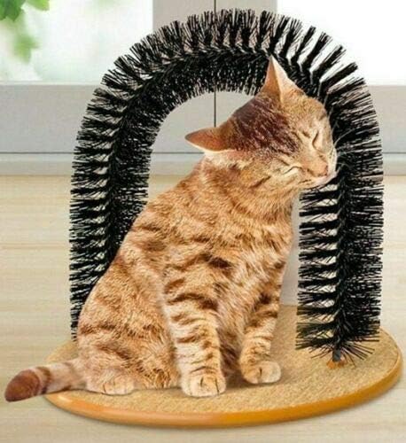 cat grooming post