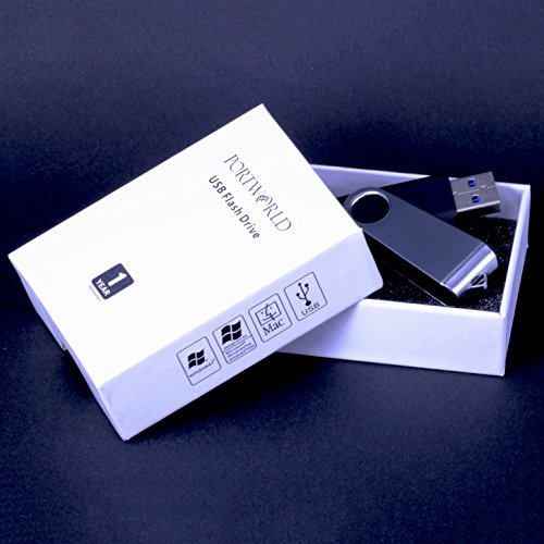6 256GB+Flash+Swivel+Memory+Stick