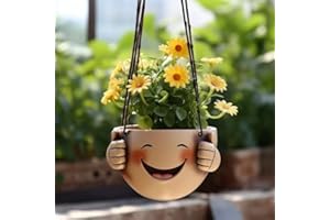 Newinhome Swing Face Plant Pots,Hanging Pots for Plants Indoor Outdoor,Funny Smile Face Planter Pots, Creative Succulents Plants Pot Basketfor Home Garden Decor(Plus Size)