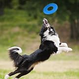 Nerf Dog Rubber Tire Flyer Toy 10 Inch Blue Flying Disc for Medium Large Dogs view 8
