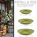 Apipi 6 Pcs Plant Saucer Drip Trays, Home Garden Flower Plant Container Plastic Pot Tray Palletsthumb 4