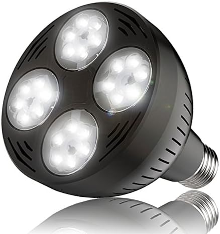 Led Pool Lights, Cocoby 120V 35watt 6000K Daylight White Swimming Pool Led Light Bulb E26 Base 300-500w Traditional Bulb Replacement For Most Pentair Hayward Light Fixture (Black)