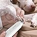 Bonve Pet Dog Nail Grinder, 2 Speed Electric Pet Dog Nail Clippers Rechargeable with USB Charging, White