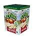 Brothers-ALL-Natural Fruit Crisps, Fuji Apple, 0.35 Ounce (Pack of 6)