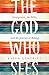 The God Who Sees: Immigrants, the Bible, and the Journey to Belong by Karen Gonzalez, Sandra van Opstal