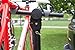 Schwinn 4-Bike Hitch Mount Rack
