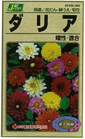 Amazon カネコ種苗 園芸 種 Ks100シリーズ ダリア 矮性 混合 草花100 059 花 Amazon カネコ種苗 園芸 種 Ks100シリーズ ダリア 矮性 混合 草花100 059 花