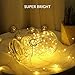 SENYERGIANT Led String Lights, 33 ft 100 LEDs Waterproof Warm White on Copper Wire,Fairy Lights with Remote Control and Power Adapter