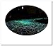 DE-100 Man-made Blue Glow in the Dark Pebbles Stone for Garden Walkway--Making Your Garden or Yard Looks Different from Your Neighbors' at night(Blue)